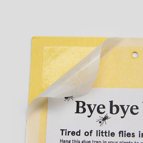 Botanopia sticky paper goodie