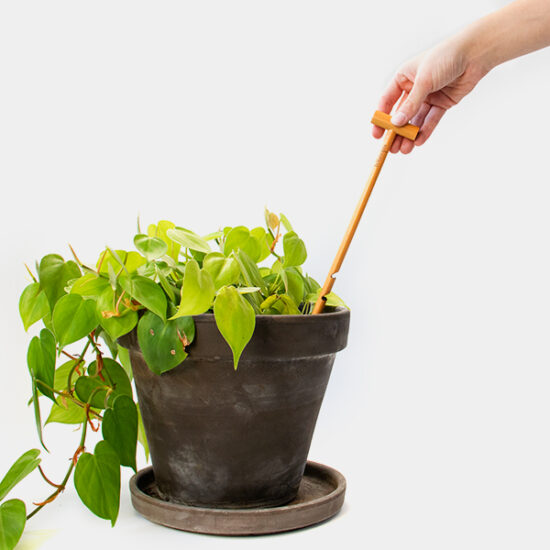 Botanopia Wooden Soil Checker