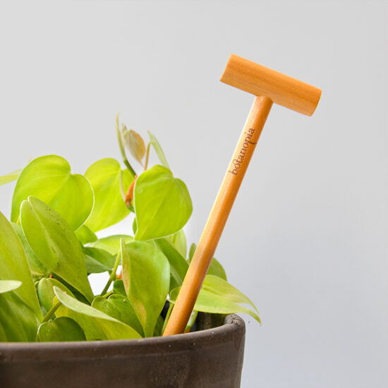 Botanopia Wooden Soil Checker