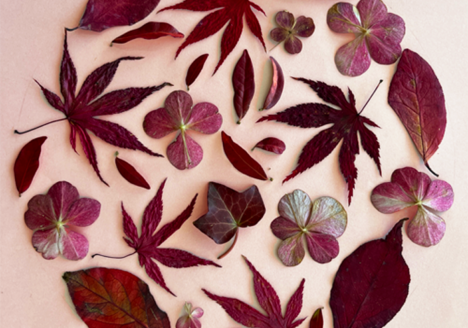 Pink shades of leaves creating a circle on a pink paper