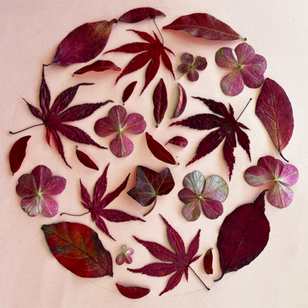 Pink shades of leaves creating a circle on a pink paper