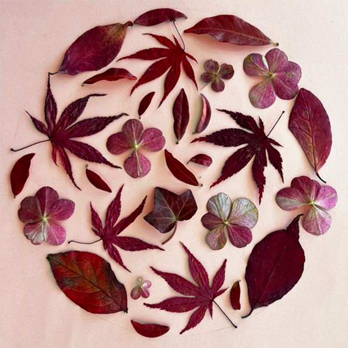 Easy and cute crafts to make with autumn leaves
