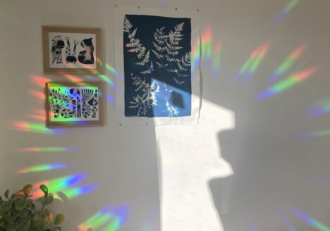 Regenbogen-Sticker, die Regenbögen auf deine Wände zaubern