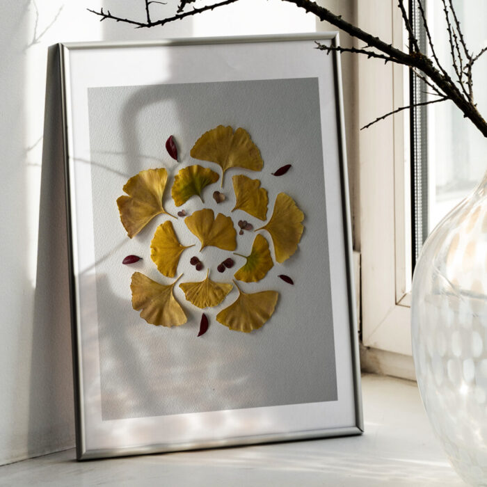 Yellow Ginkgo fall leaves in a picture frame, placed on a window bench