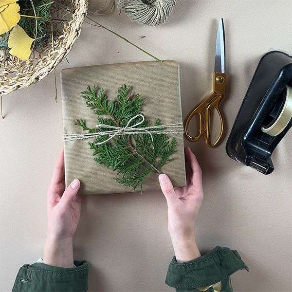 Eco-friendly gift wrapping ideas with plant