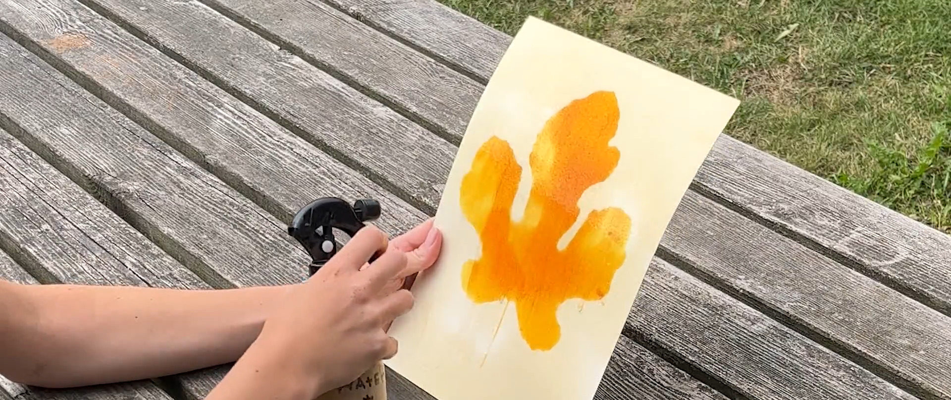Rinsing the anthotype print