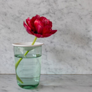 cut pink tulip flower in water, holding by a germination plate