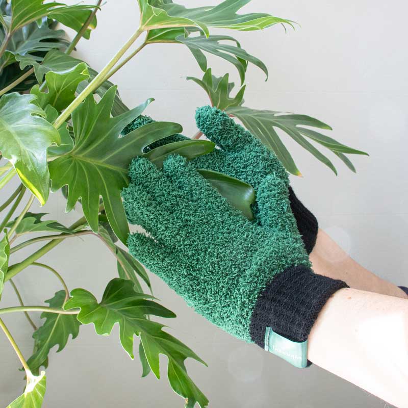 microfiber dusting gloves for your plants by Botanopia