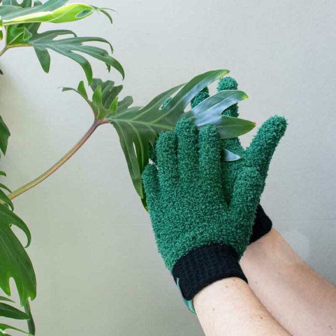 Microfiber dusting gloves for plants Botanopia