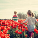 Kinder in einem Tulpenfeld