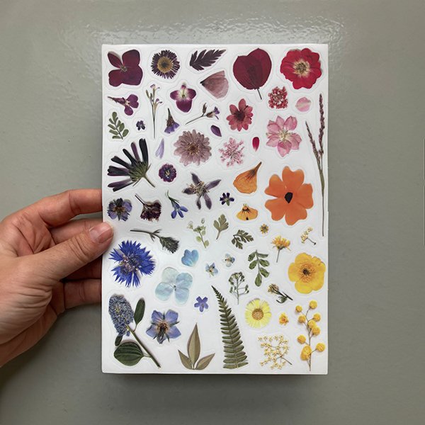 Geperste bloemen stickers ontwerp 1 - regenboogverloop