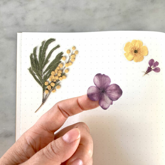 Pressed Flowers Sticker Sheet - Botanopia