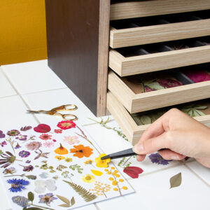 Rainbow Gradient pressed flower stickers by Botanopia
