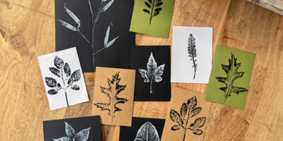 Leaf Printing results by Botanopia