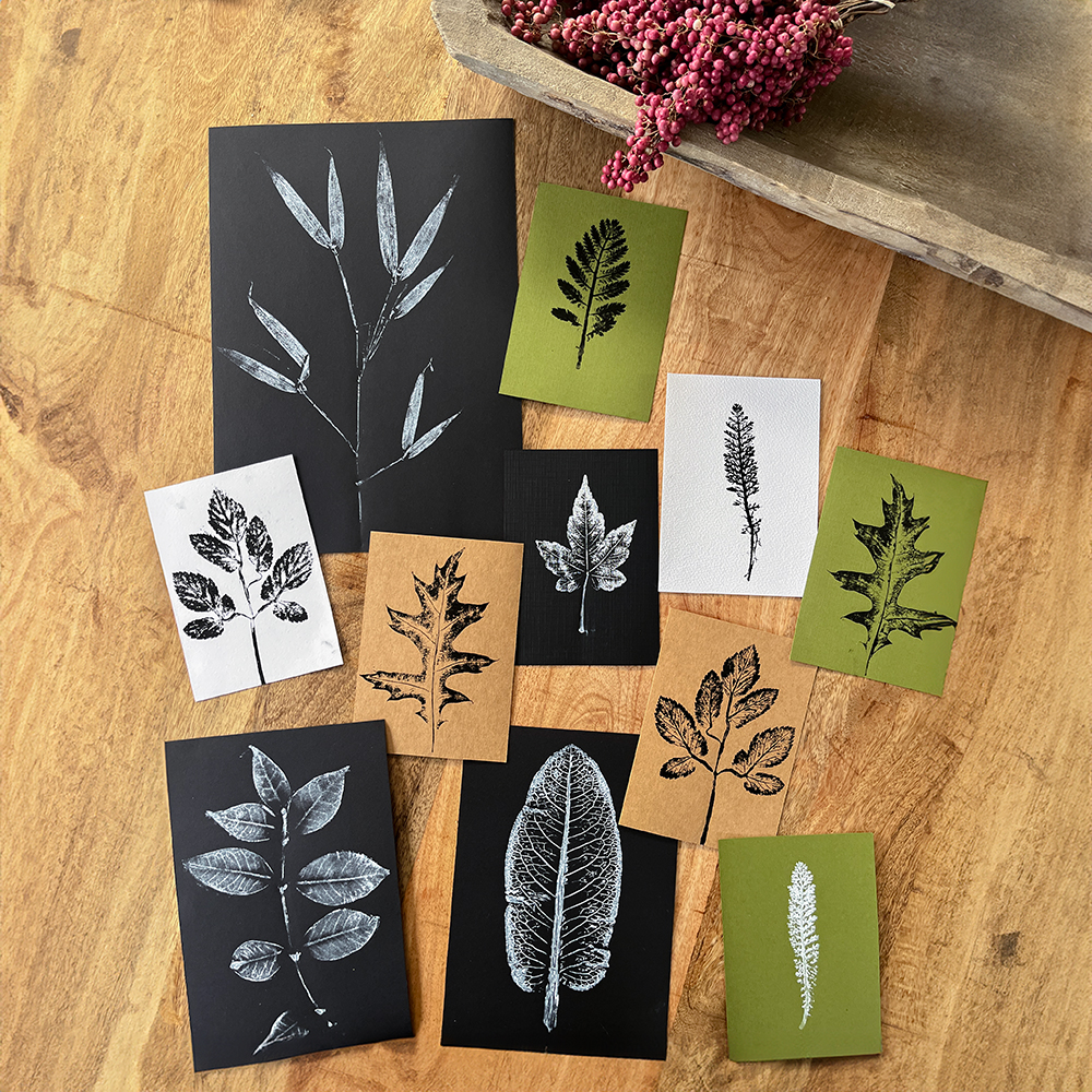 Leaf Printing results by Botanopia