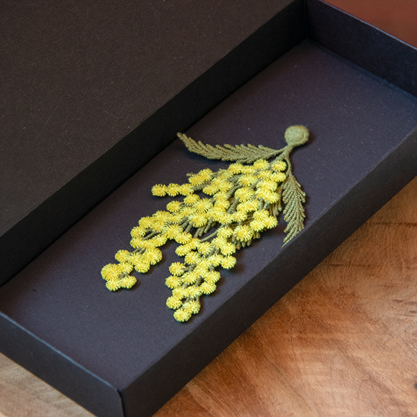 Mimosa flowers embroidered brooch - Botanopia