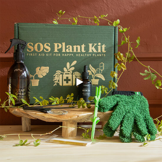 video thumbnail sos plant kit