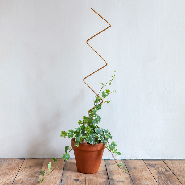 large pot for monstera Monstera Deliciosa Houseplants, Medium in Bubblegum main image 1
