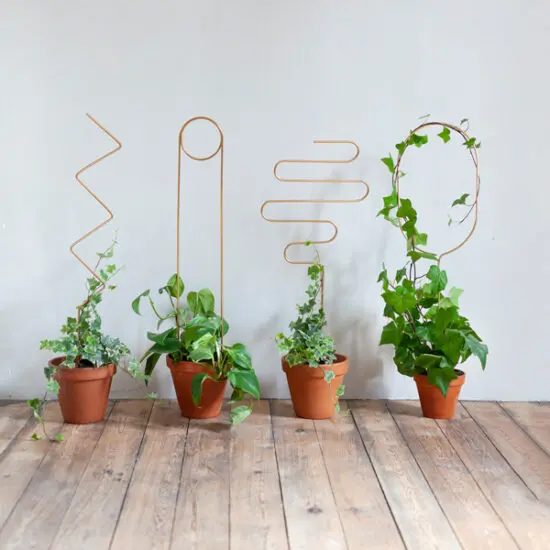 Gold Brass Chain - Plant Support for climbing plants - Botanopia
