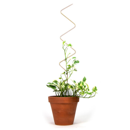 Big Plant Stakes_by Botanopia_29 Big Plant Stakes by Botanopia