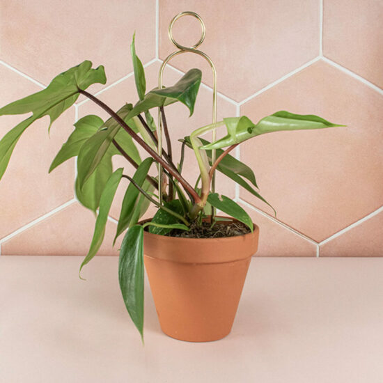 Mini Plant Stake Pompom Gold by Botanopia
