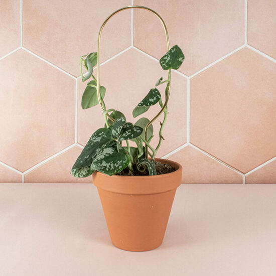 Mini Plant Stake Gold by Botanopia