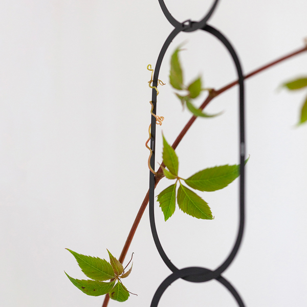 Botanopia Brass Chain Plant Support