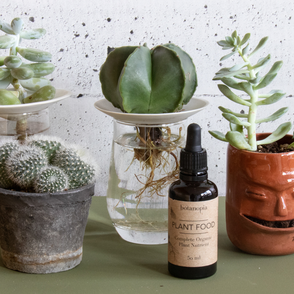Complete Organic Plant Food - 50ml- Botanopia