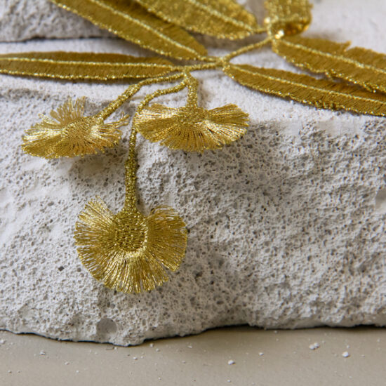 Eucalyptus flowers by Botanopia