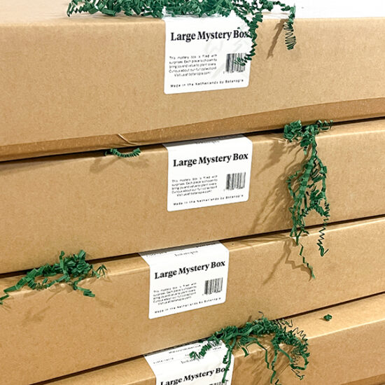 Large Mystery box by Botanopia