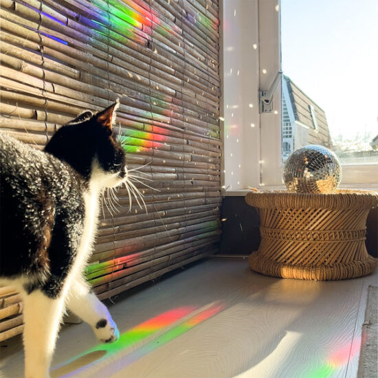 Rainbow maker stickers by Botanopia Rainbow maker stickers by Botanopia