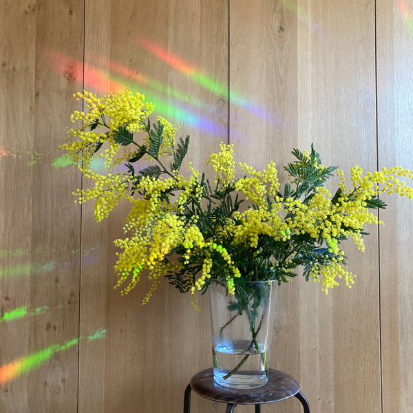 Rainbow maker stickers by Botanopia Rainbow maker stickers by Botanopia