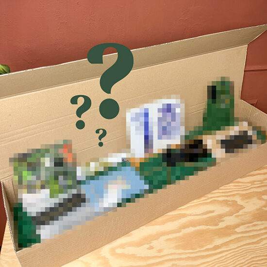 Small Surprise box mailbox by Botanopia