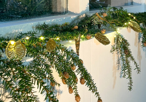 DIY with tomato tubes by Botanopia