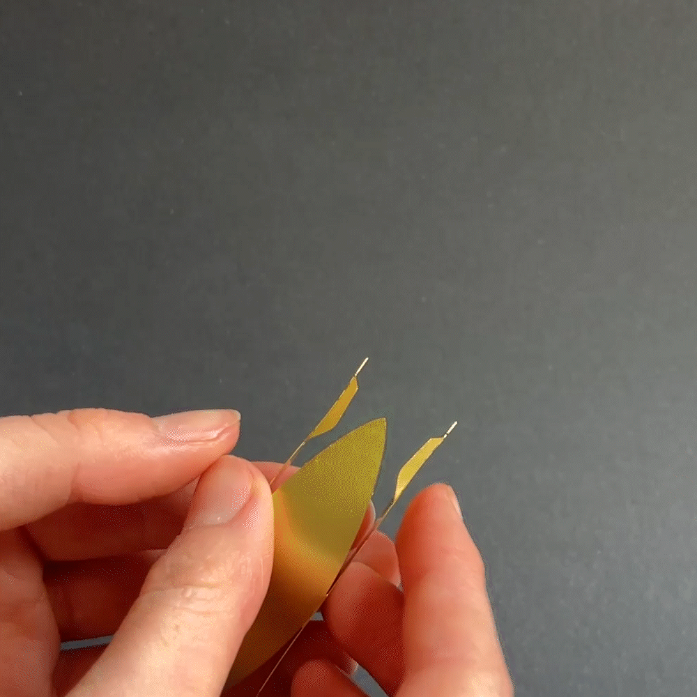 Tiny Camping tabs under canoe