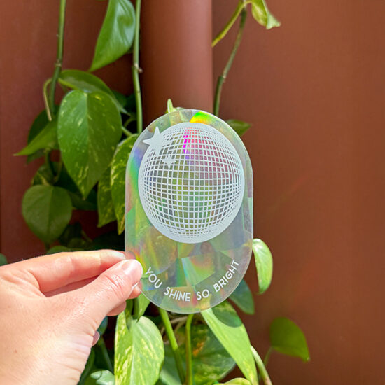 You shine so bright Rainbow maker sticker holding in hand