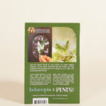 alocasia frydek x plnts back