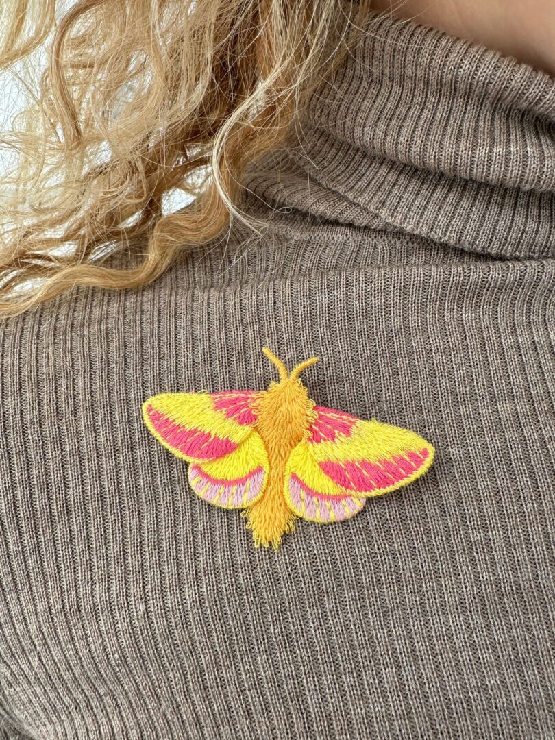 Maple Moth 2