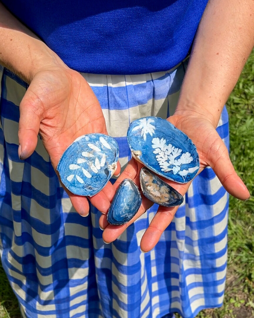 Shells