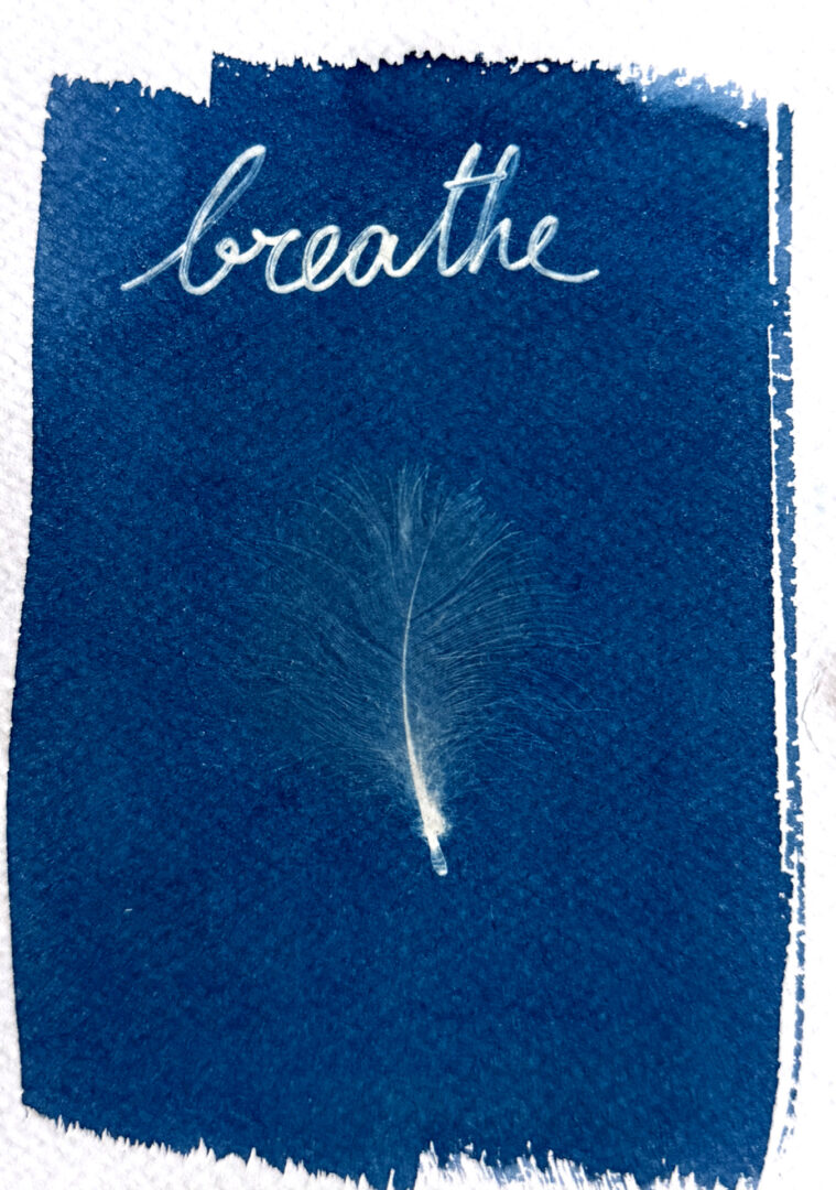 Feathers