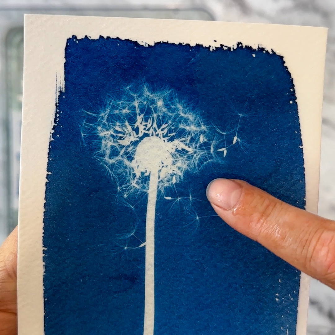 Dandelion result