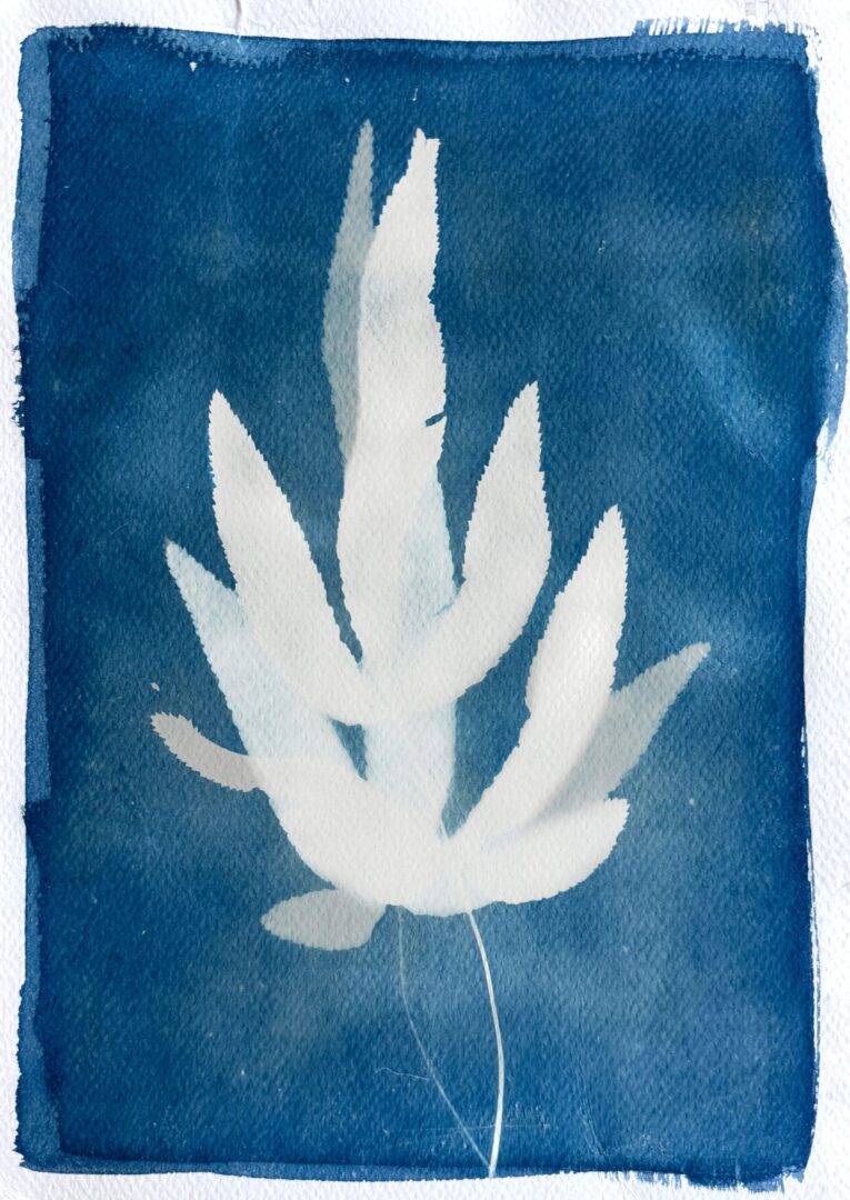 Layering example 2